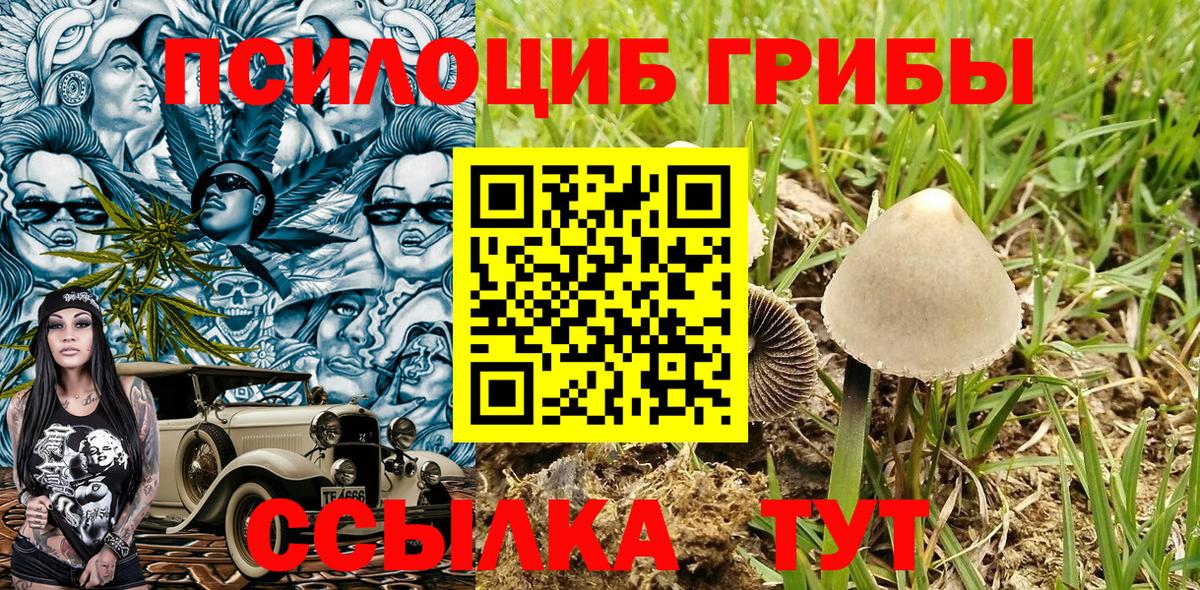 Галлюциногенные грибы Magic Shrooms  Вход с VPN  Еманжелинск  Псилоцибиновые грибы Magic Shrooms 